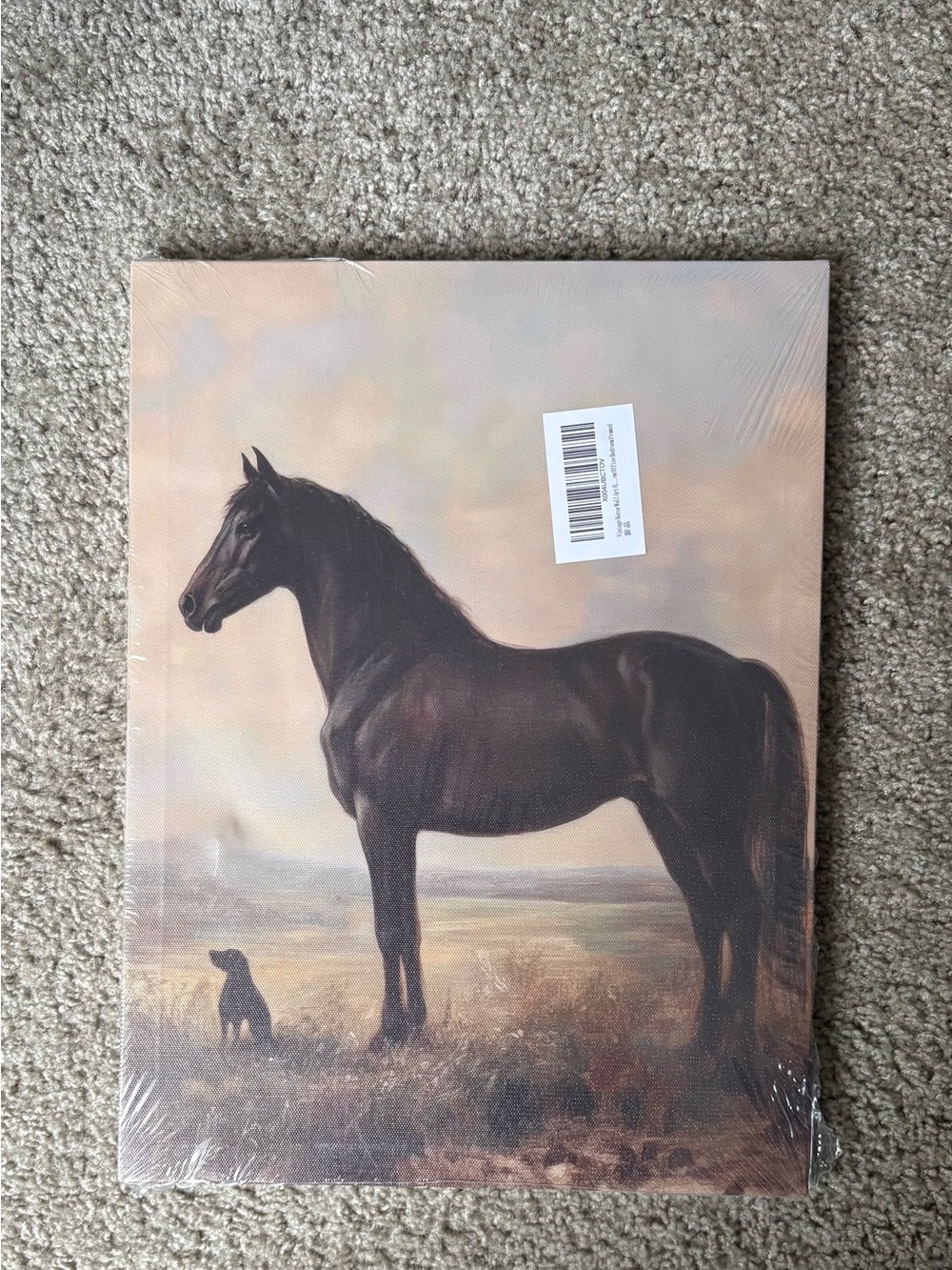 New Framed Horse & Dog Canvas Wall Art 16x12 Vintage Equestrian Farmhouse Decor